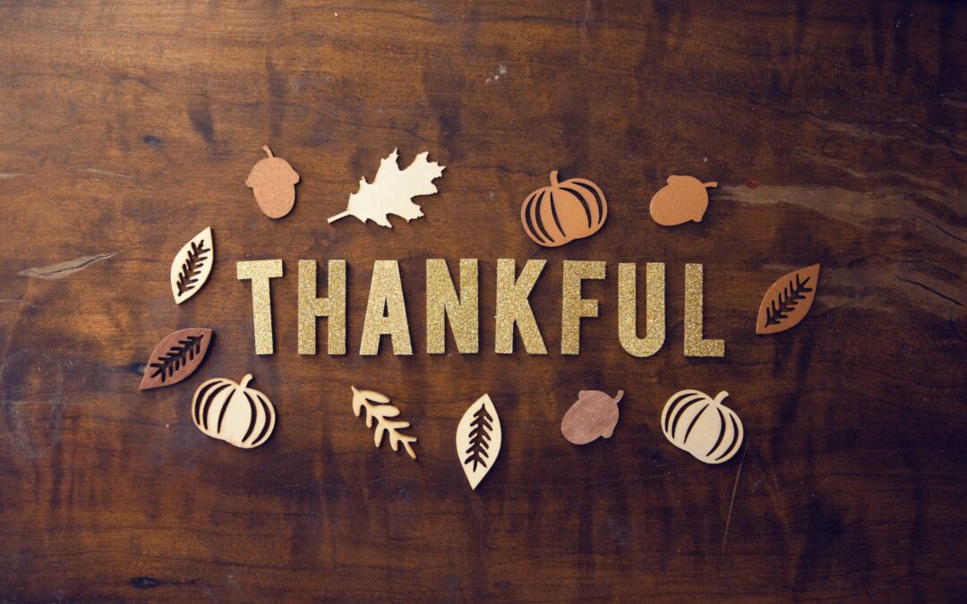 Thanksgiving Message from all of us at CLUE
