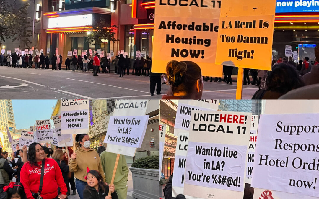 February 2023 Full Newsletter