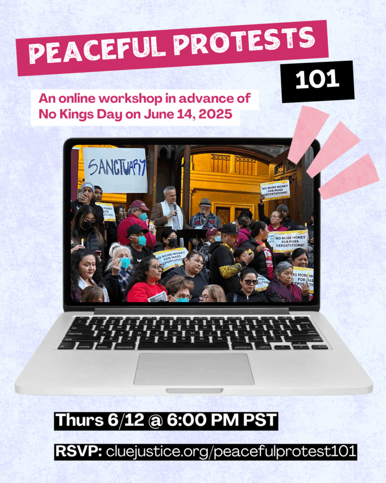 PEACEFUL PROTESTS 101